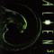 ALIEN 3